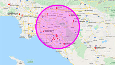 glarish-seo-example-geo-location-serp